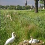 Kerknieuws en vieringen april